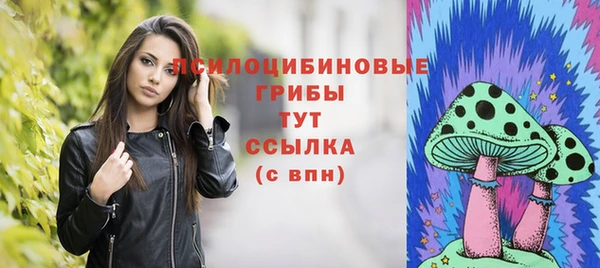 хмурый Бежецк