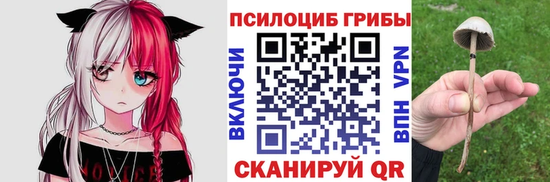 Галлюциногенные грибы мухоморы  Дегтярск 