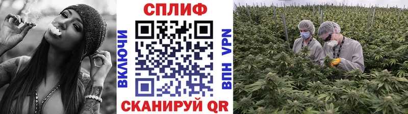 omg маркетплейс  Дегтярск  Каннабис SATIVA & INDICA 